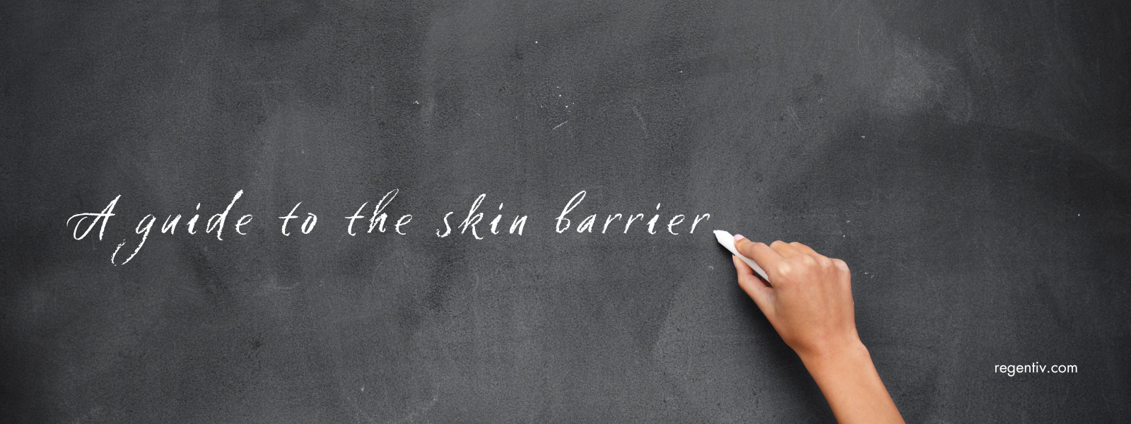 The Ultimate Guide to Understanding the Skin Barrier