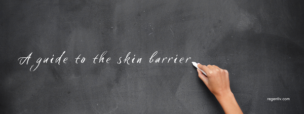 The Ultimate Guide to Understanding the Skin Barrier